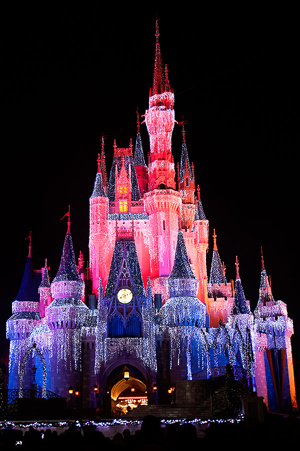 Disney2014__312